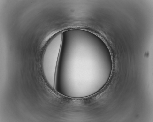 X0000089731453200706210906