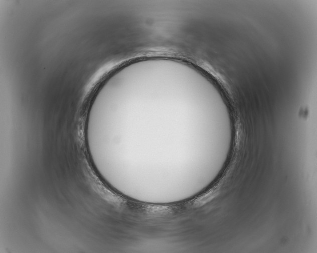 X0000089731454200706210906