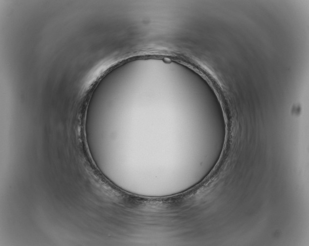 X0000089731455200706210906
