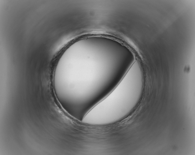 X0000089731456200706210905