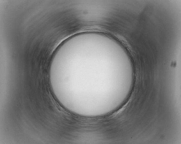 X0000089731457200706210905
