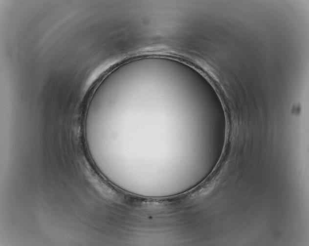 X0000089731458200706210905