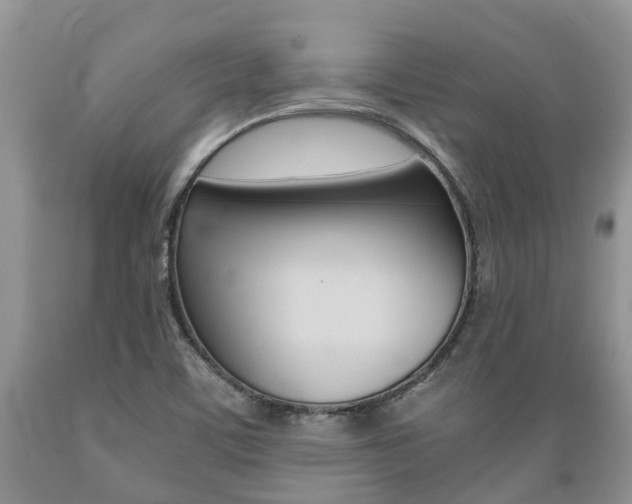 X0000089731459200706210905