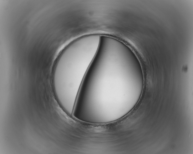 X0000089731460200706210905