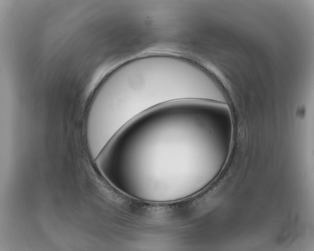 X0000089731461200706210905