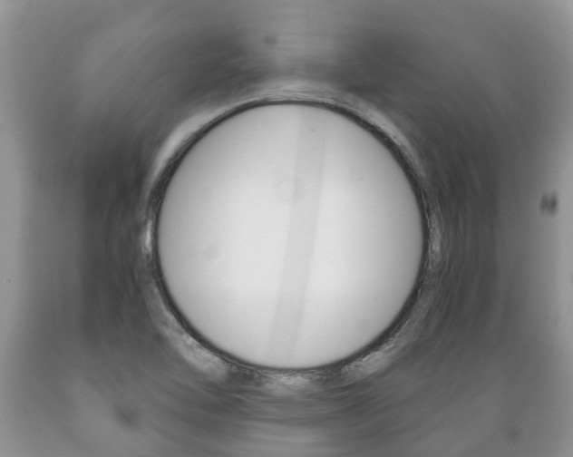 X0000089731462200706210905