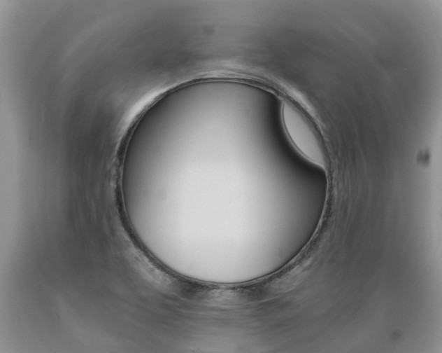 X0000089731463200706210905
