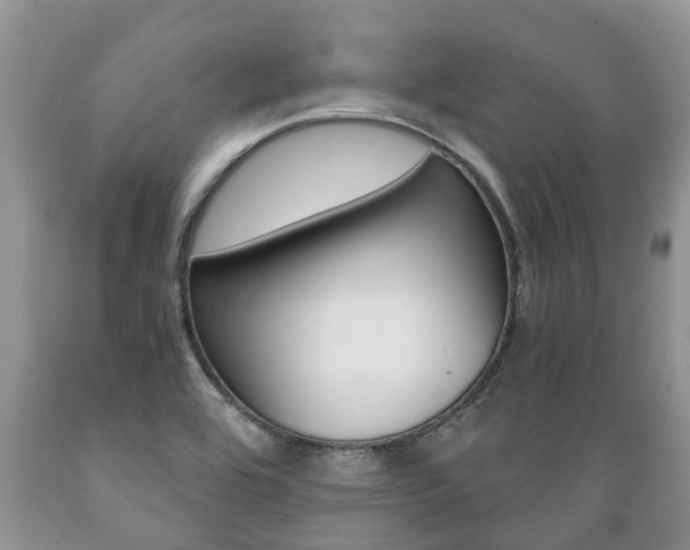 X0000089731464200706210905
