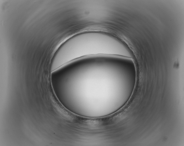 X0000089731465200706210905