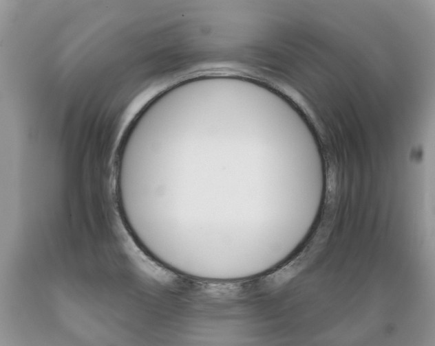 X0000089731466200706210905