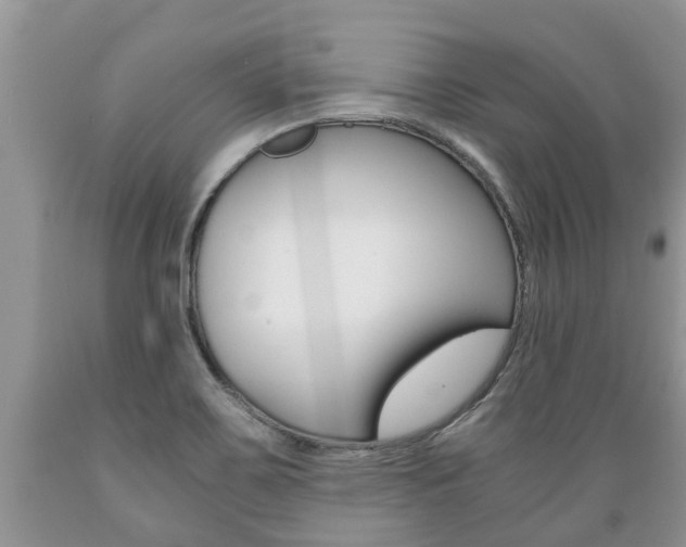 X0000089731467200706210905