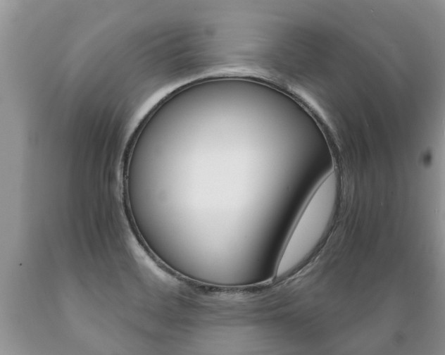 X0000089731468200706210905