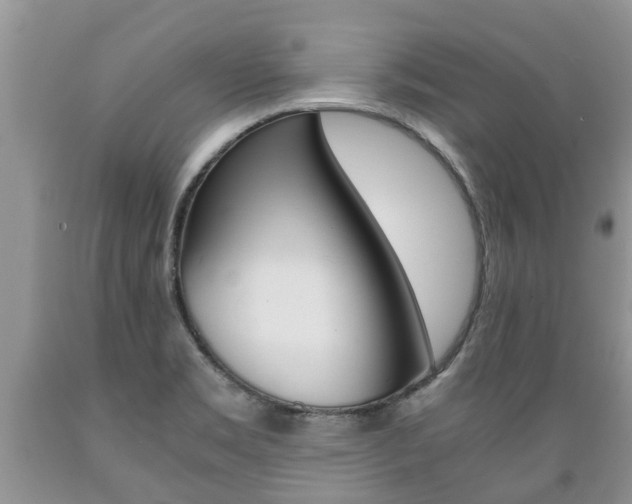 X0000089731469200706210905