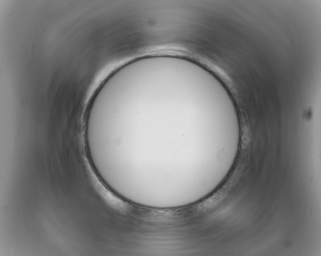 X0000089731470200706210905