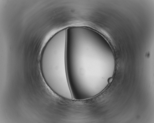 X0000089731472200706210905