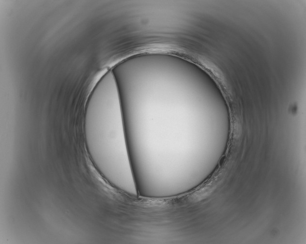 X0000089731473200706210905