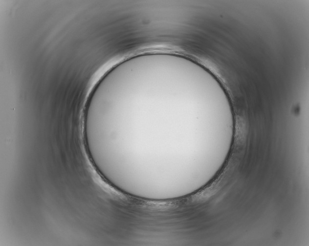 X0000089731474200706210905
