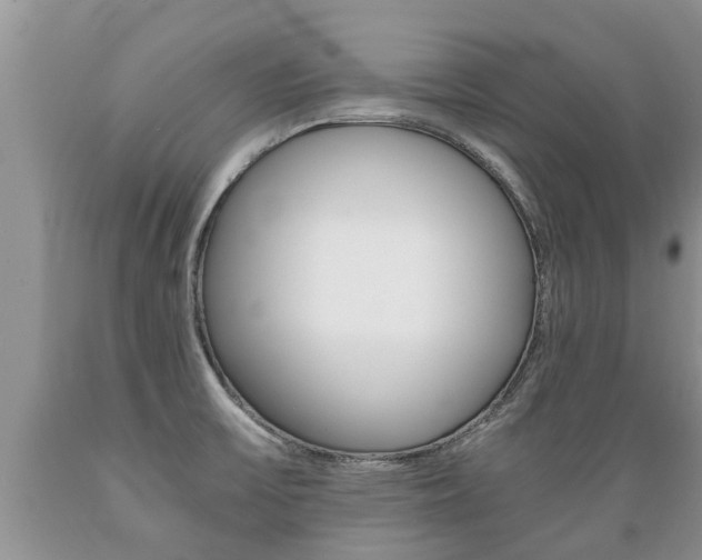 X0000089731475200706210905