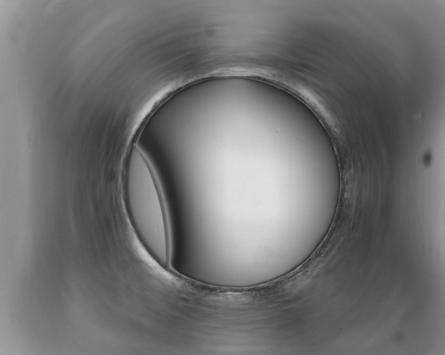 X0000089731476200706210905