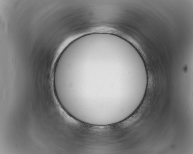 X0000089731478200706210905