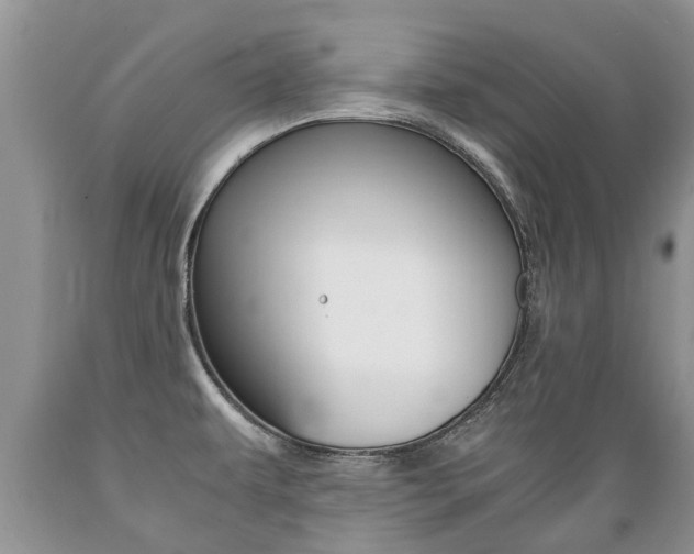 X0000089731479200706210905