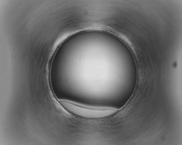 X0000089731480200706210905