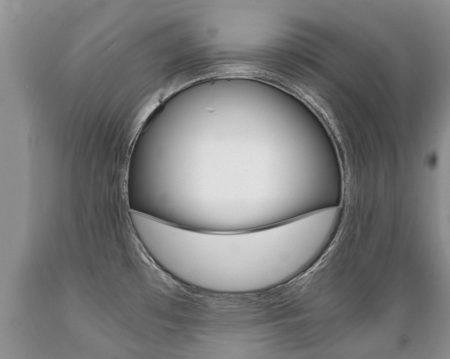 X0000089731481200706210905