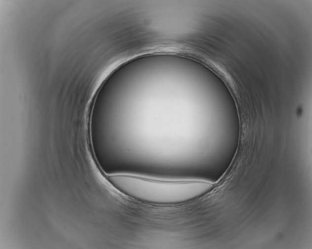 X0000089731483200706210905