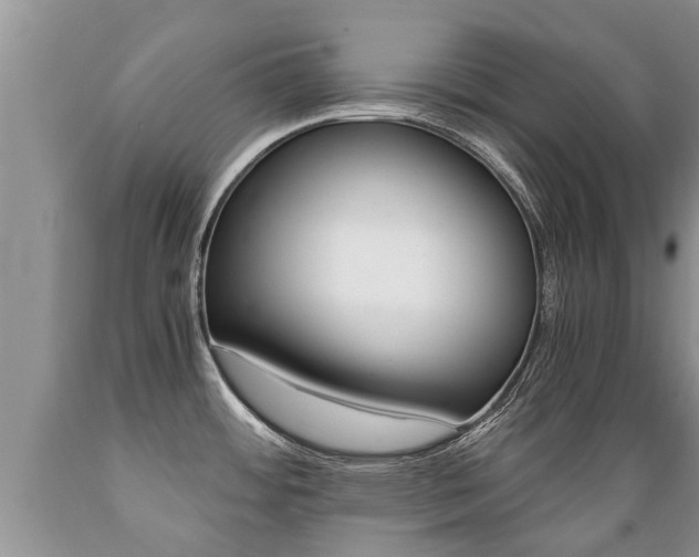X0000089731484200706210905