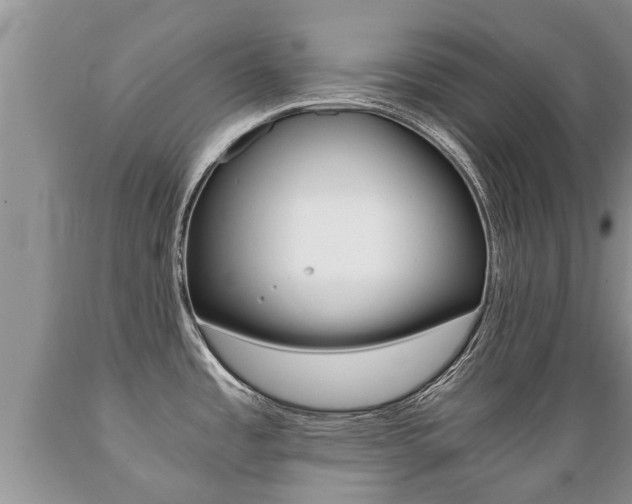 X0000089731485200706210905