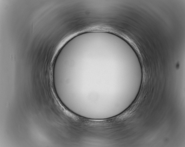 X0000089731486200706210905