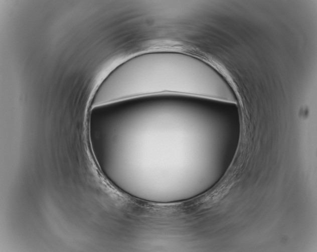 X0000089731488200706210905