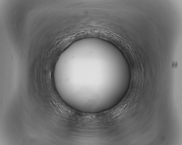 X0000089731489200706210904