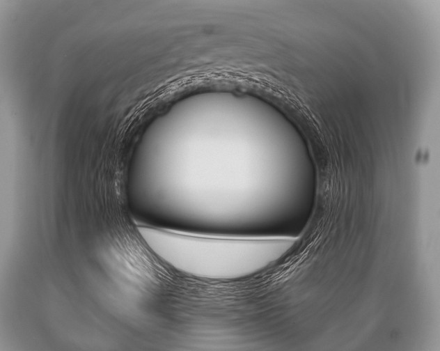 X0000089731490200706210904