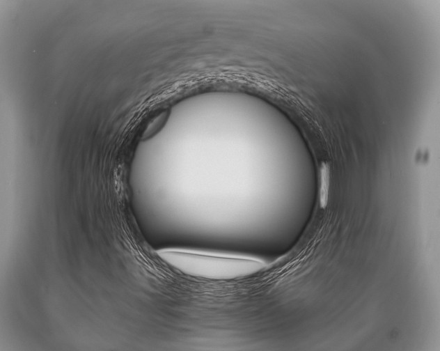X0000089731491200706210904