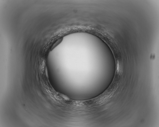 X0000089731492200706210904