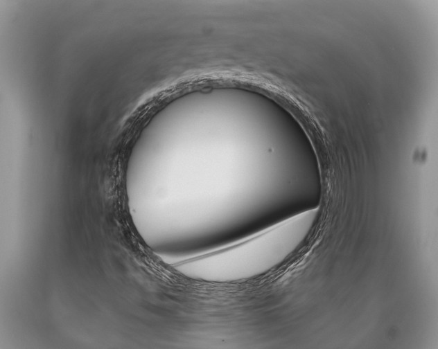 X0000089731494200706210904