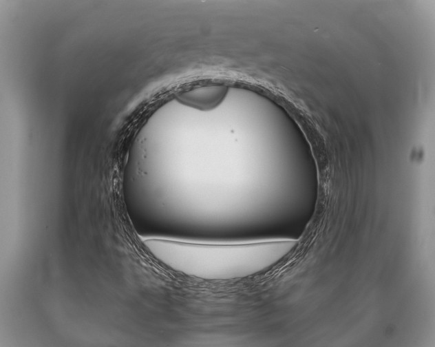 X0000089731495200706210904