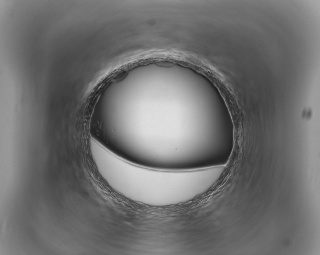 X0000089731496200706210904