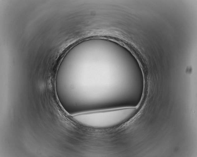 X0000089731497200706210905