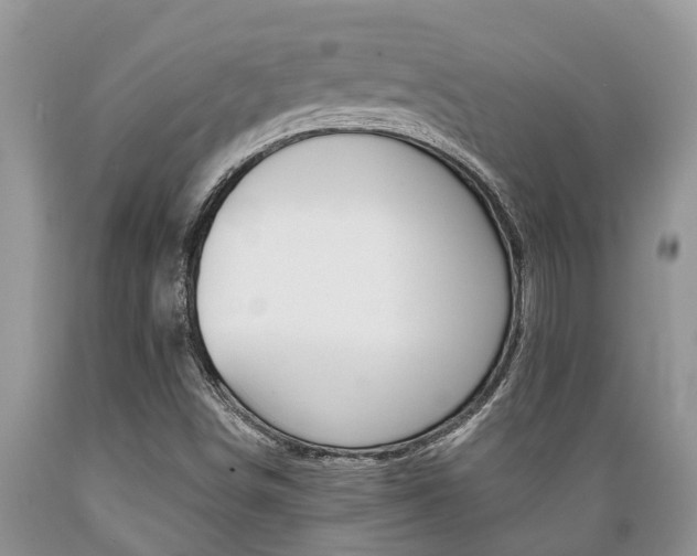 X0000089731498200706210905