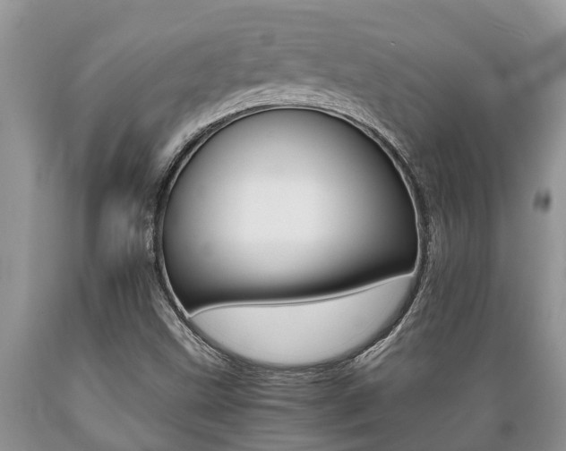 X0000089731499200706210905