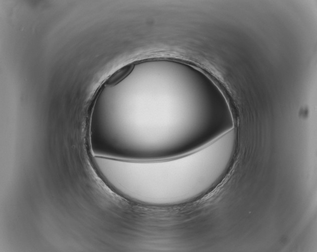 X0000089731500200706210905