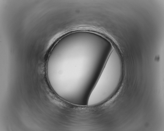 X0000089731501200706210905