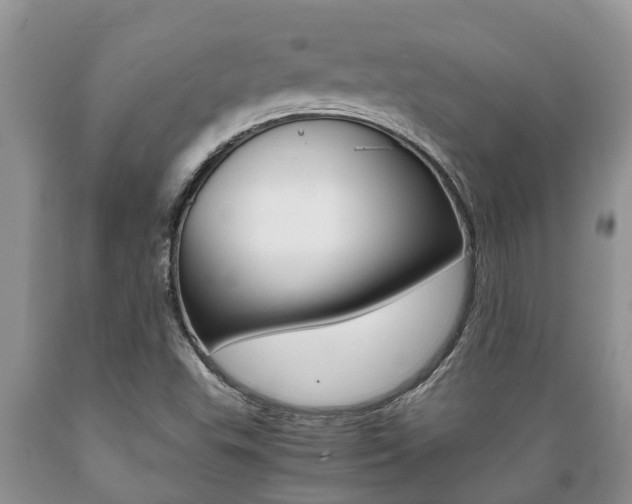 X0000089731503200706210905
