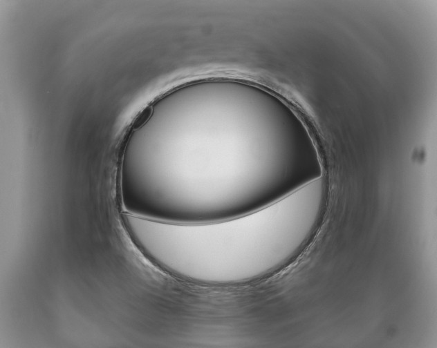 X0000089731504200706210905