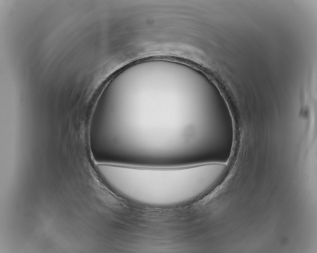 X0000089731505200706210905