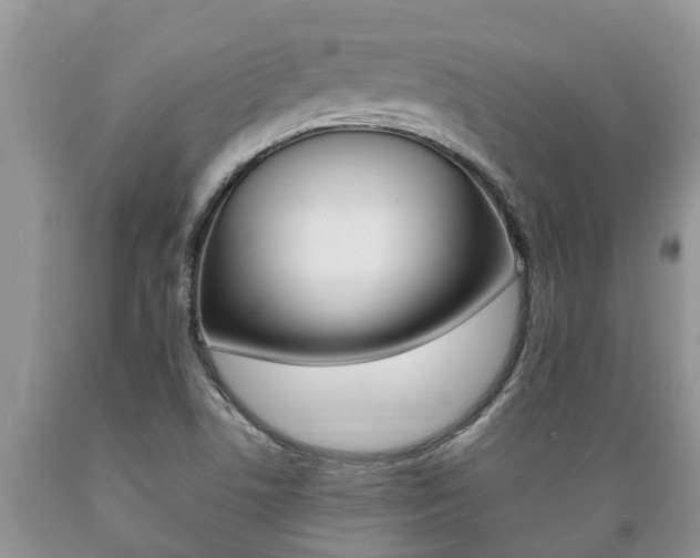 X0000089731506200706210905