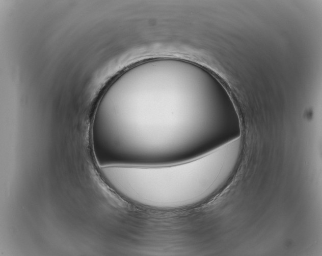 X0000089731507200706210905