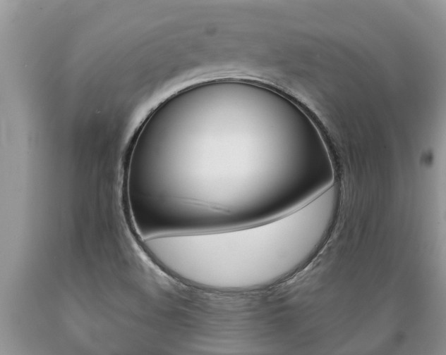 X0000089731508200706210905